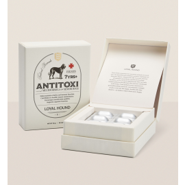 노령기 종합포뮬러(Antitoxi)